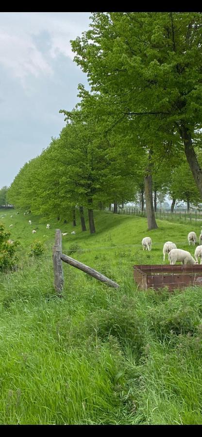 Bungalow Scheldezicht In Zeeland Dicht Bij Zee Scherpenisse Exteriér fotografie