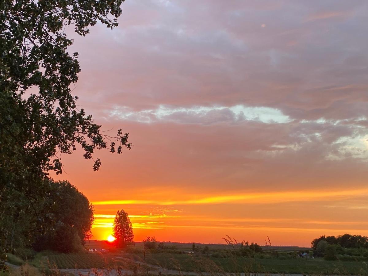 Bungalow Scheldezicht In Zeeland Dicht Bij Zee Scherpenisse Exteriér fotografie