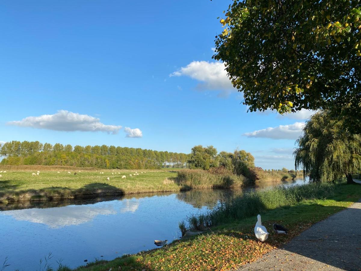 Bungalow Scheldezicht In Zeeland Dicht Bij Zee Scherpenisse Exteriér fotografie